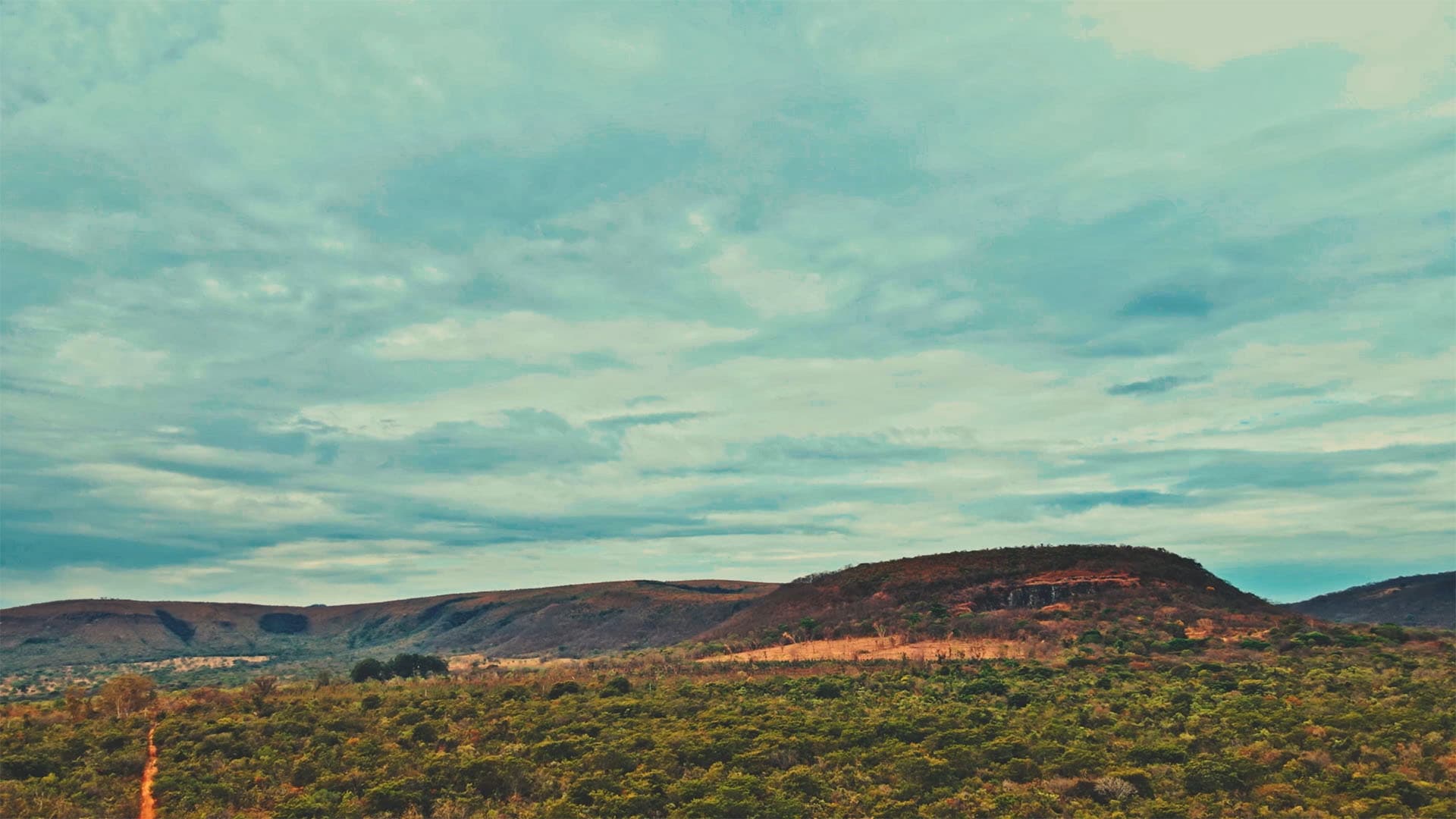 Vista do cerrado