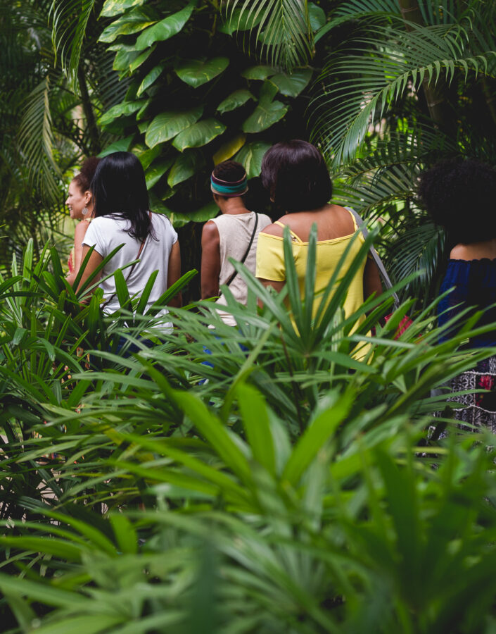 Educativo Inhotim Programa de Visitas Campanha