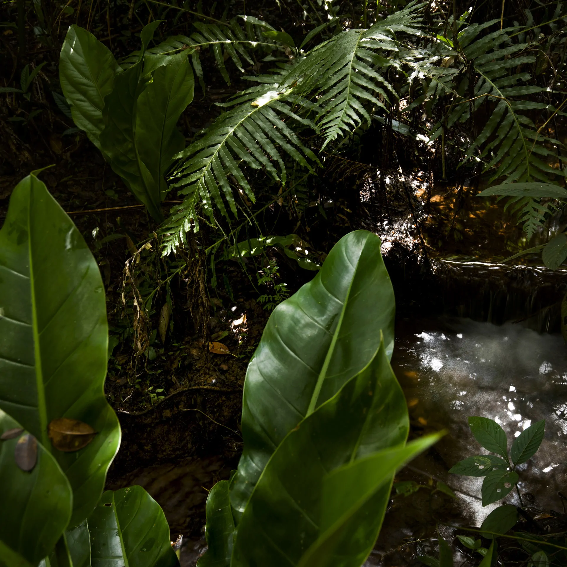 Foto: João Marcos Rosa