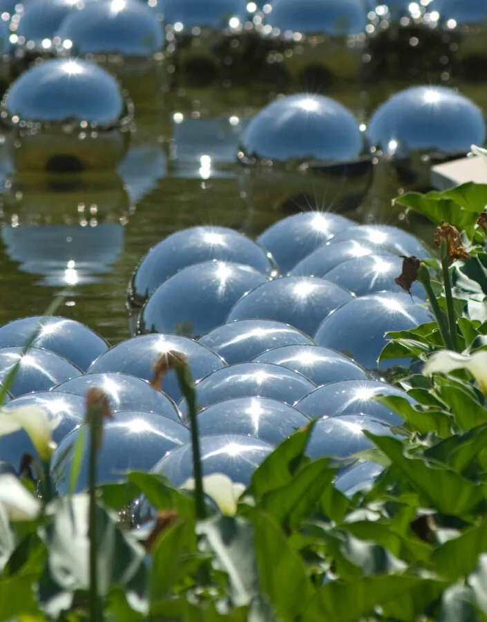 Jardim de Narciso Yayoi Kusama no Inhotim