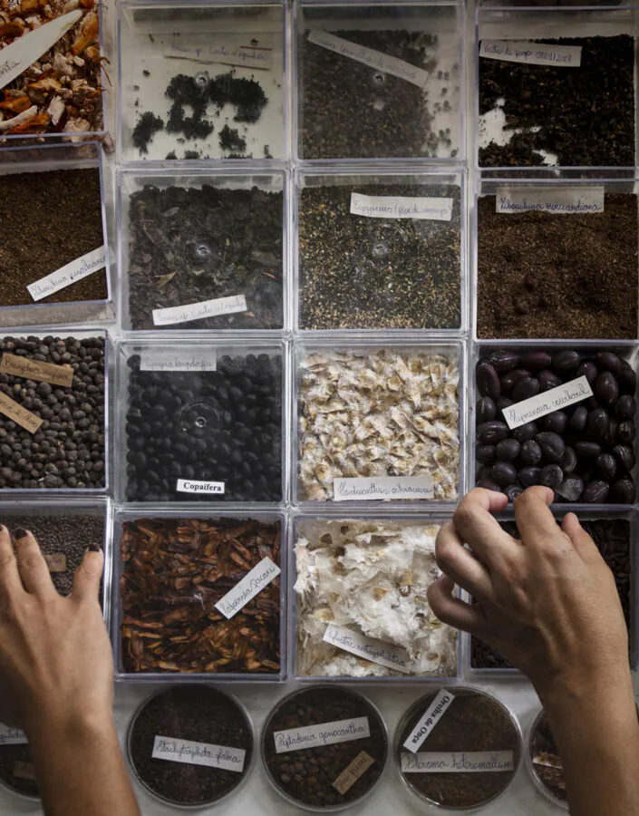 Pesquisa no Jardim Botânico Inhotim