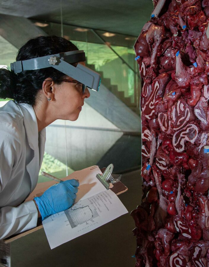 Inhotim arte contemporânea restauro