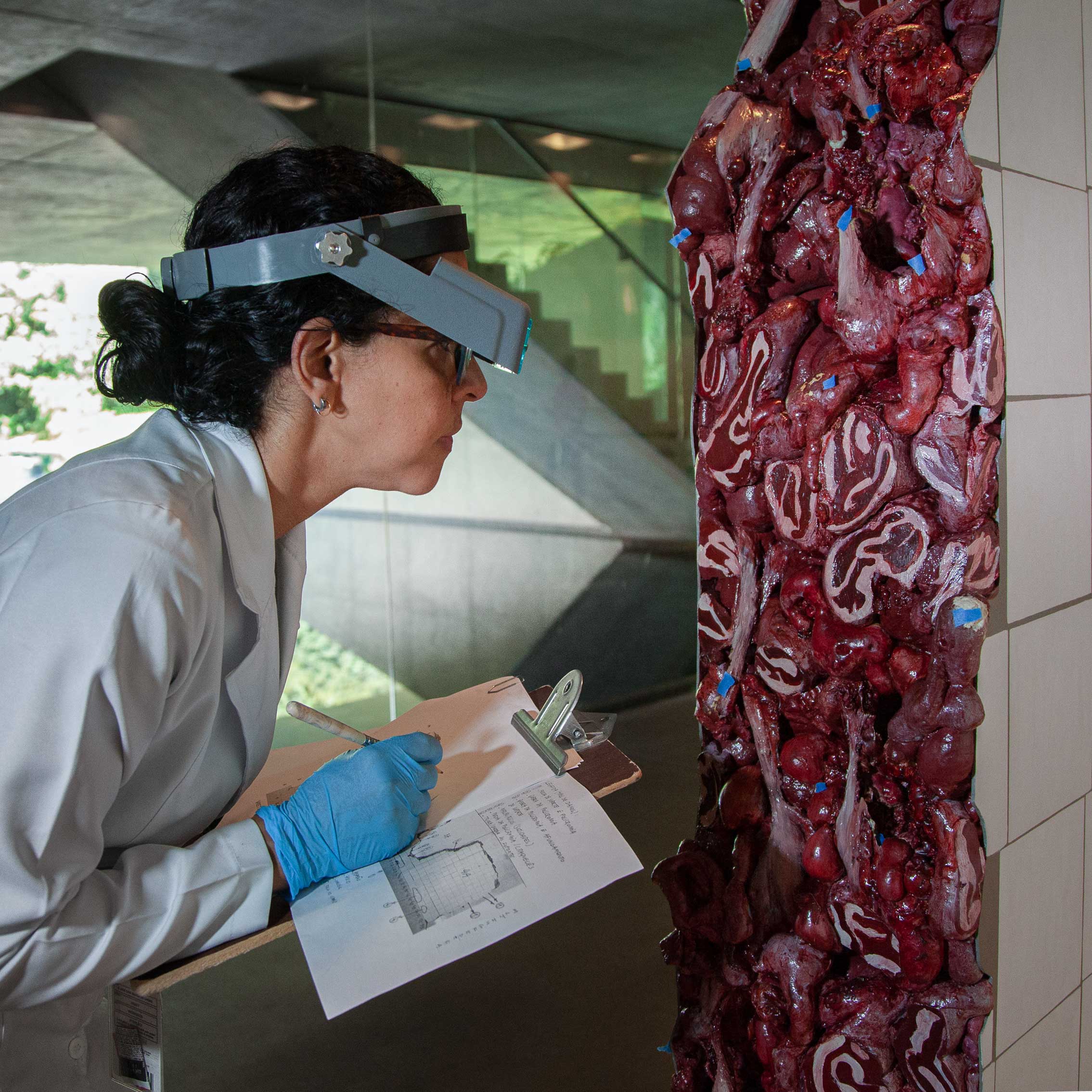 Inhotim arte contemporânea restauro