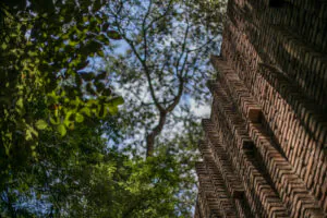 inhotim claudia andujar  joao kehl