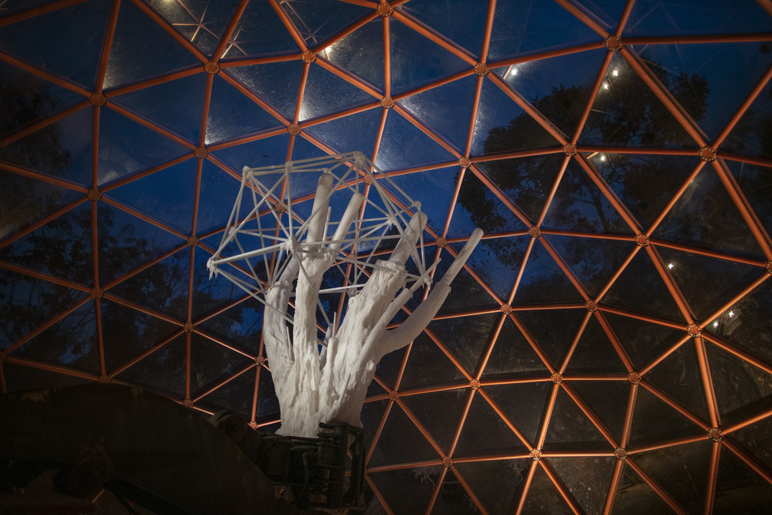 inhotim matthew barney da lama lamina  joao kehl