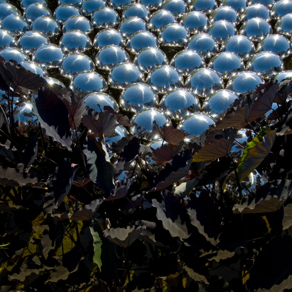 ayoi Kusama, Narcissus Garden, 1996/2009, [detalhe]. Foto: Pedro Motta