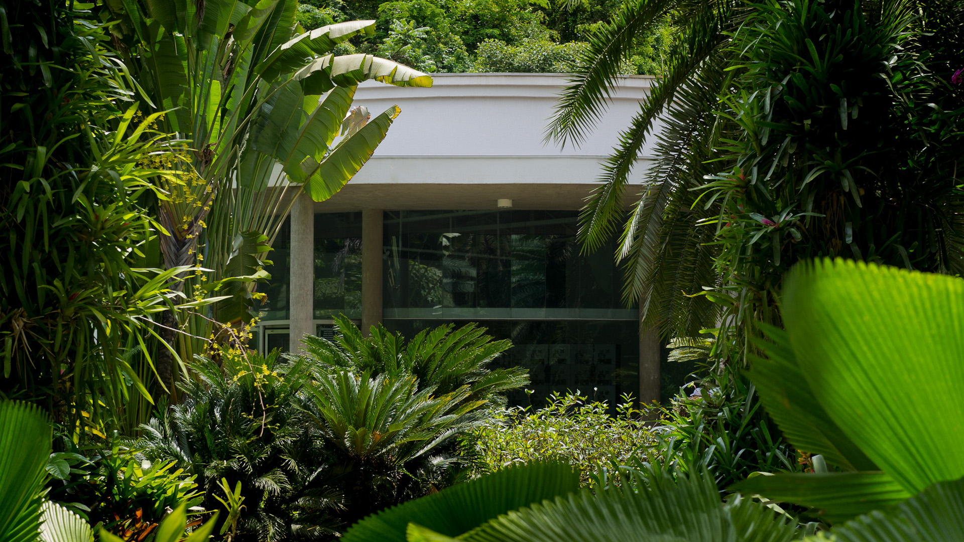 Galeria Fonte, 2002, Paulo Orsini. Foto: William Gomes