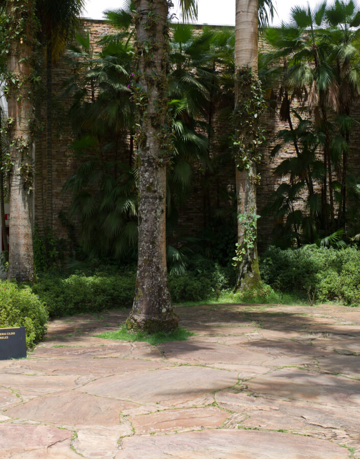 20181101 Galerias e Paisagismo William Gomes-1067