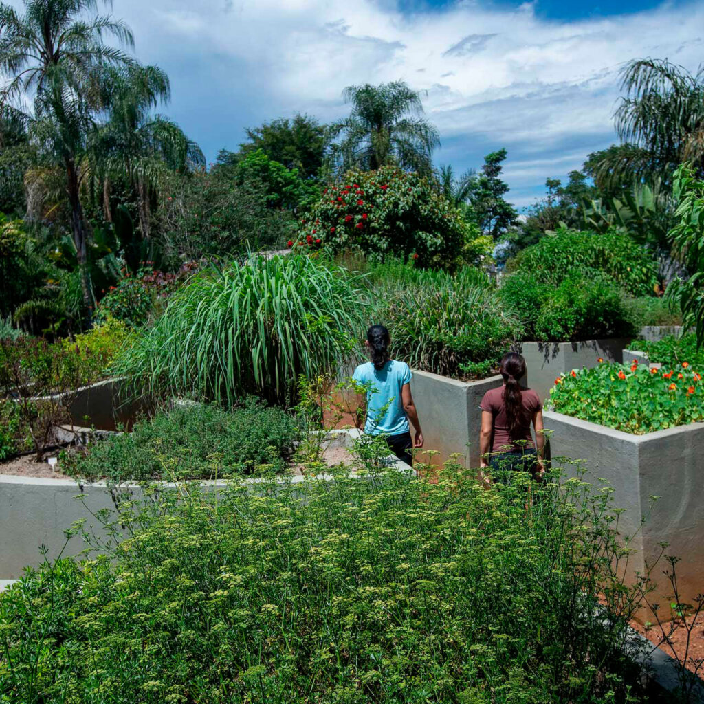 4 JT DTS -visao-geral-3