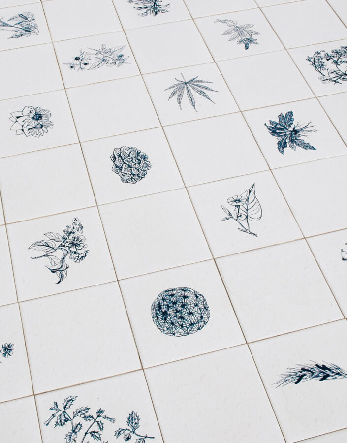 Adriana Varejão, Panacea Phantastica, 2003-08, [detalhe],serigrafia sobre azulejo, 40 x 202 x 202 cm. Foto: Vicente Mello.