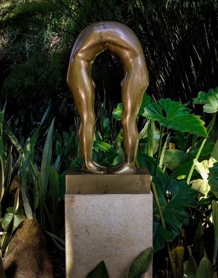Edgard de Souza, Sem título, 2001, bronze, 42x83x36. Foto Daniel Mansur