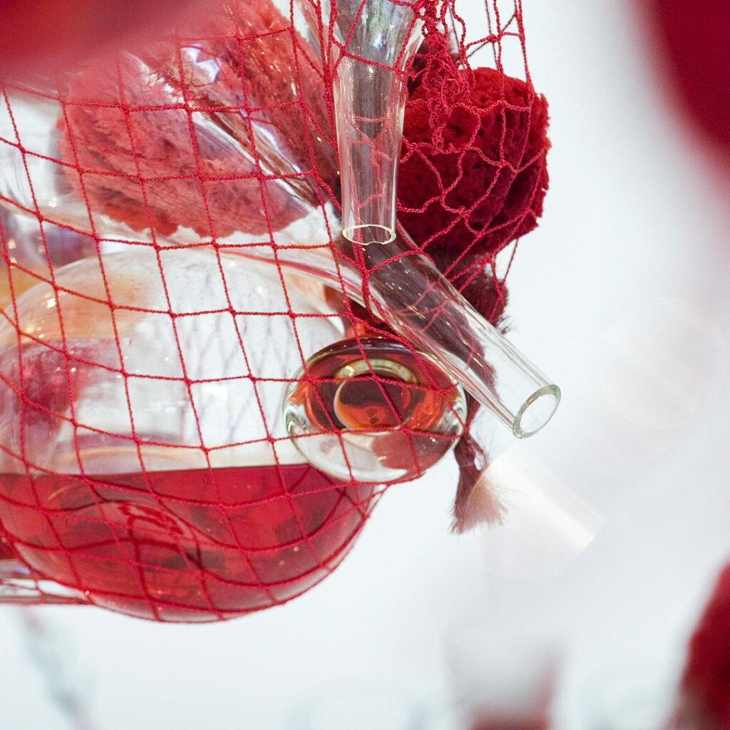 Tunga, True Rouge, 1997, [detalhe] redes, madeira, vidro soprado, pérolas de vidro, tinta vermelha, esponjas do mar, bolas de sinuca, escovas limpa-garrafa, feltro, bolas de cristal, 1315x750x450 cm.  Foto:  Carol Reis