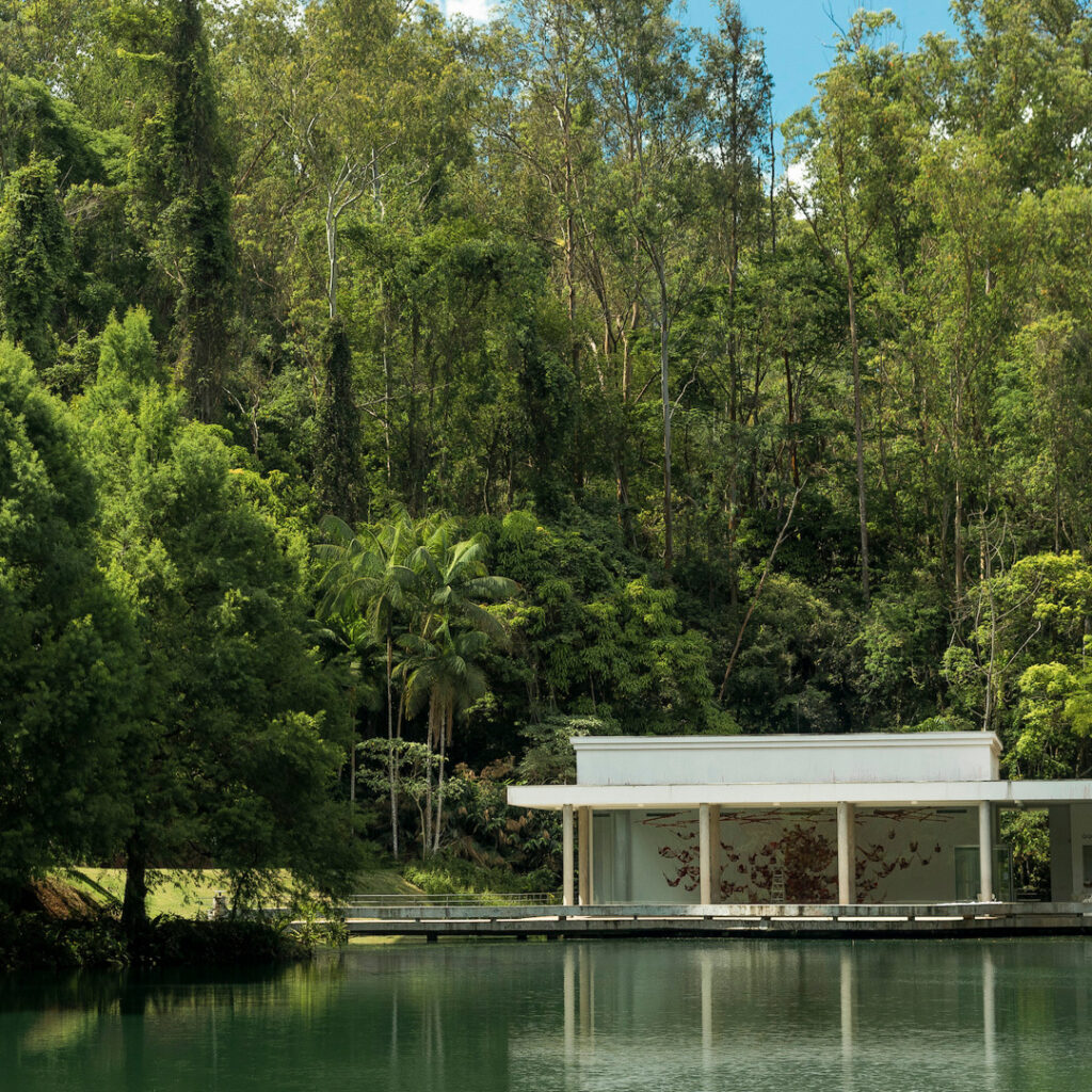 Cipestre presente ao lado da Galeria True Rouge. Foto: João Marcos Rosa/Nitro.