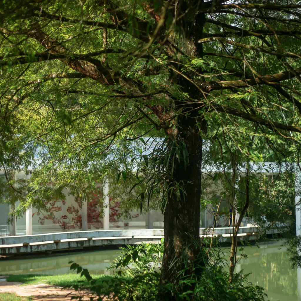 Brumadinho_MG, 19 de fevereiro de 2021Jardim Botanico INHOTIMFOTO: JOAO MARCOS ROSA/NITRO