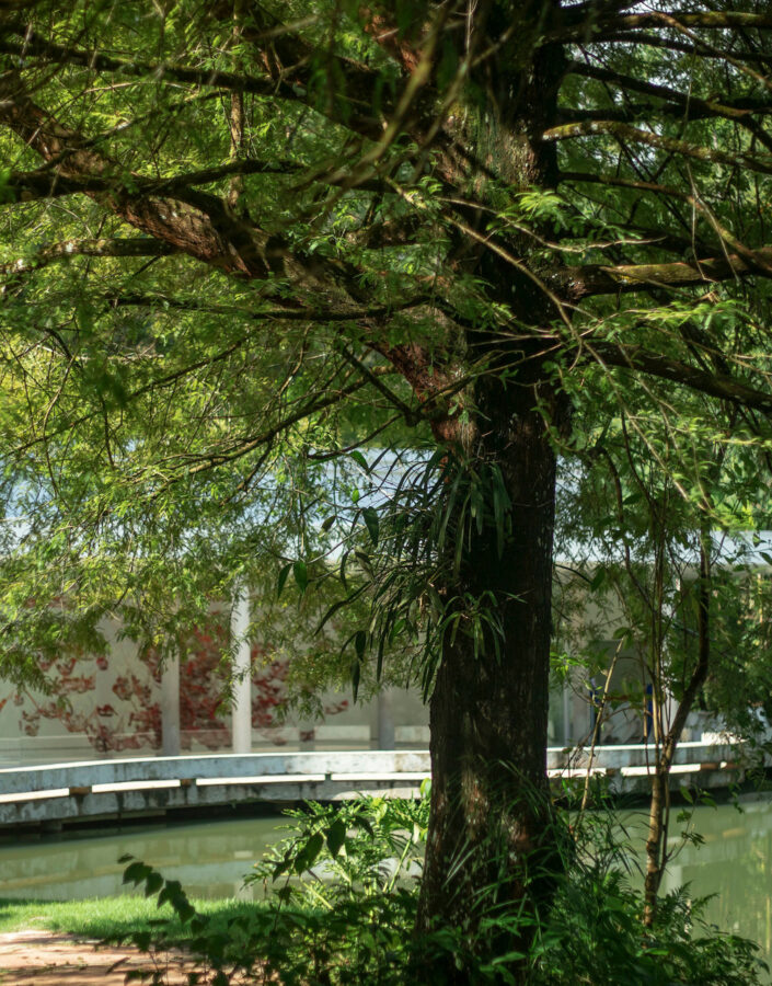 Brumadinho_MG, 19 de fevereiro de 2021Jardim Botanico INHOTIMFOTO: JOAO MARCOS ROSA/NITRO