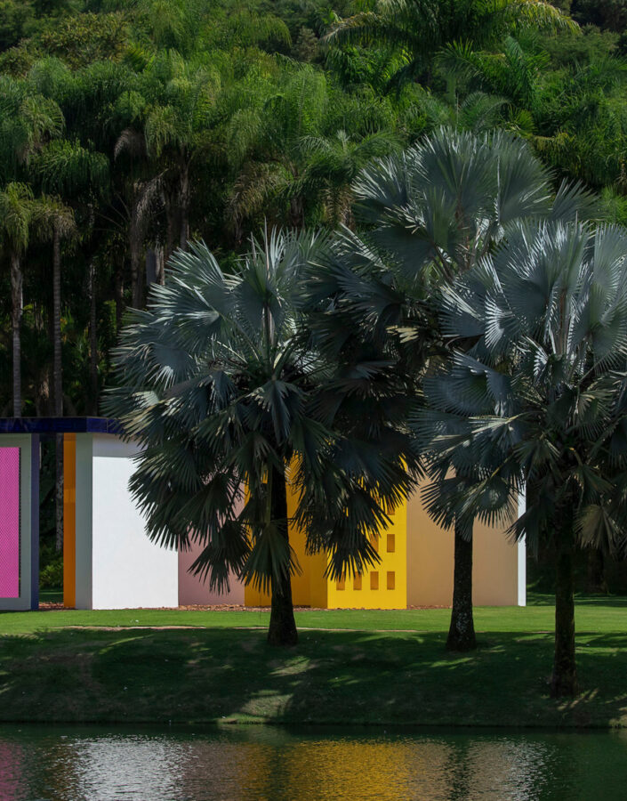 Próximas ao Magic Square #5, de Hélio Oiticica, as palmeiras-azuis ressaltam as cores da obra na paisagem. Foto:João Marcos Rosa/Nitro.