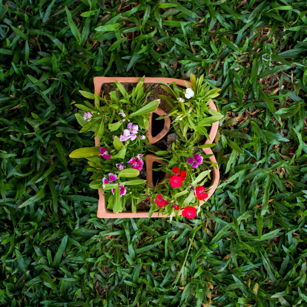 ​Marilá Dardot, A origem da obra de arte, 2002, [detalhe], 150 vasos de cerâmica em forma de letras, terra, sementes e instrumentos de jardinagem, dimensões variáveis. Foto: Pedro Motta