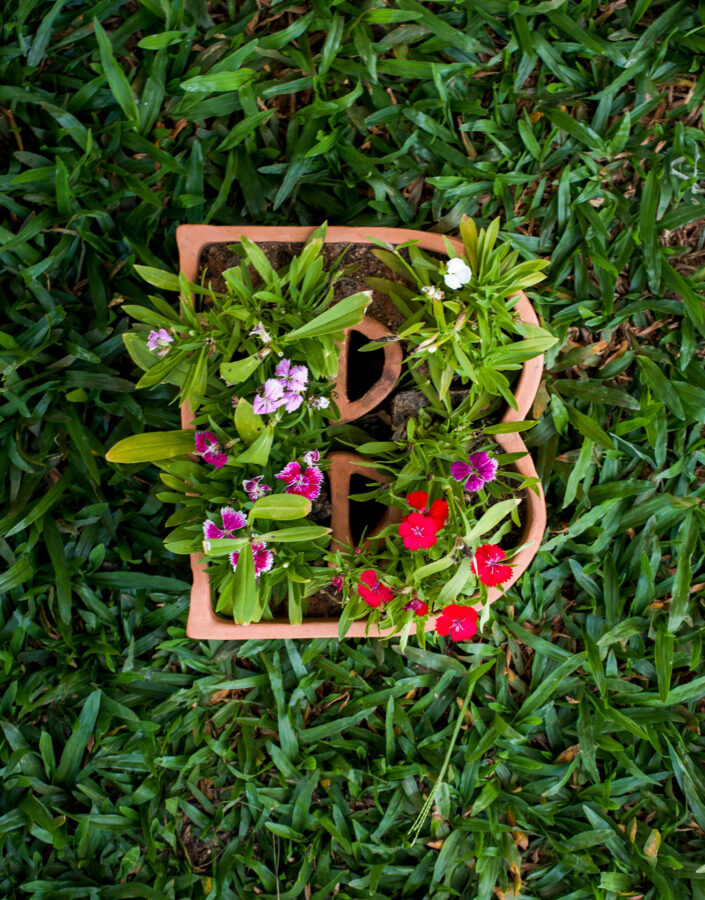 ​Marilá Dardot, A origem da obra de arte, 2002, [detalhe], 150 vasos de cerâmica em forma de letras, terra, sementes e instrumentos de jardinagem, dimensões variáveis. Foto: Pedro Motta