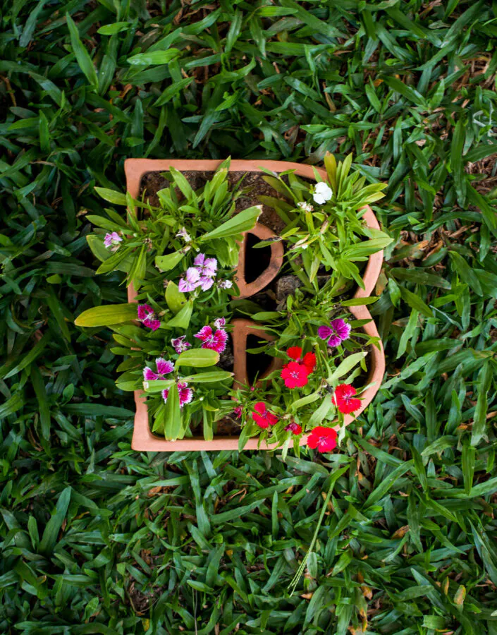 ​Marilá Dardot, A origem da obra de arte, 2002, [detalhe], 150 vasos de cerâmica em forma de letras, terra, sementes e instrumentos de jardinagem, dimensões variáveis. Foto: Pedro Motta