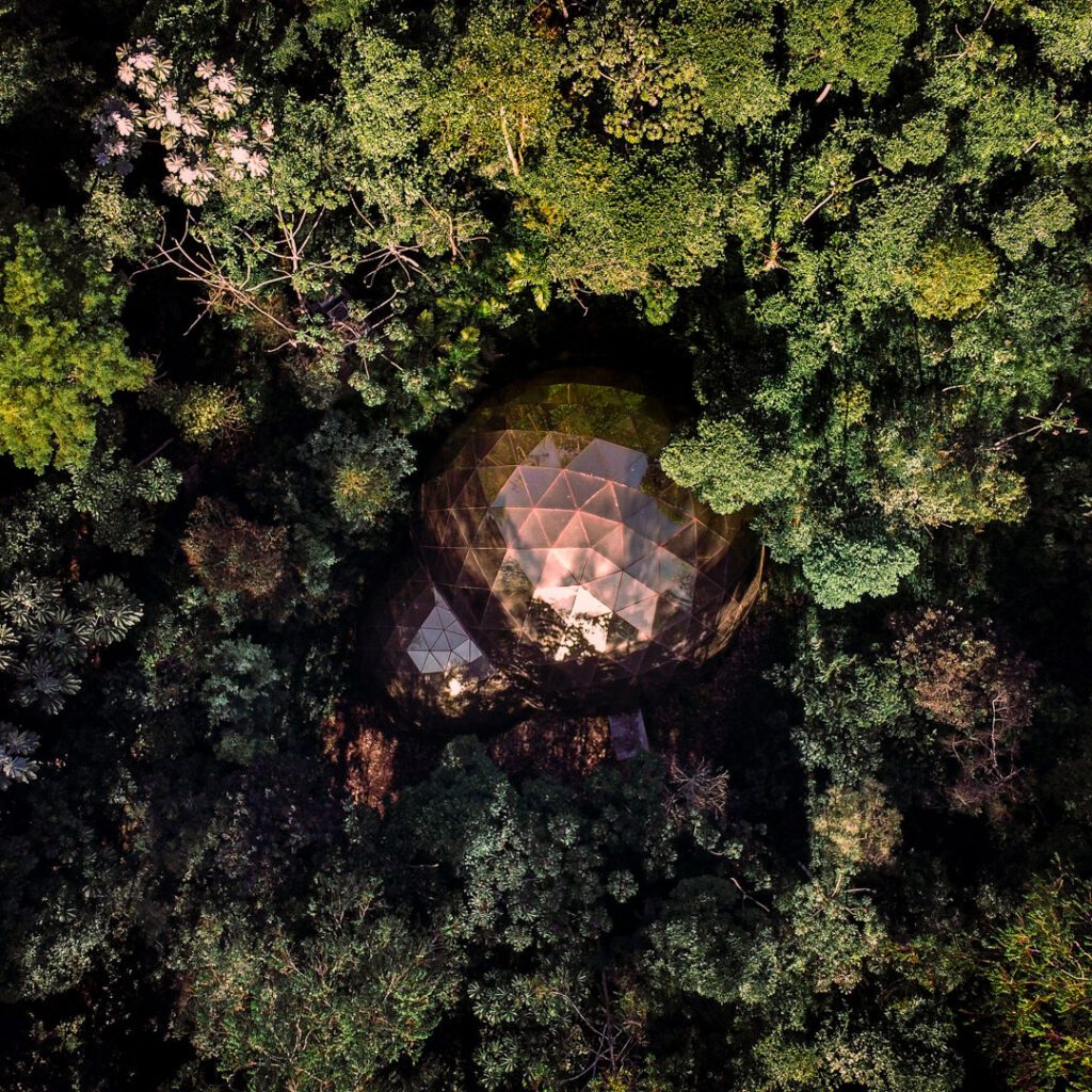 ​Matthew Barney, De lama lâmina, 2009, [vista aérea] domos geodésicos em aço e vidro, trator florestal, escultura em polietileno, 8x14x55 m. Foto: Brendon Campos