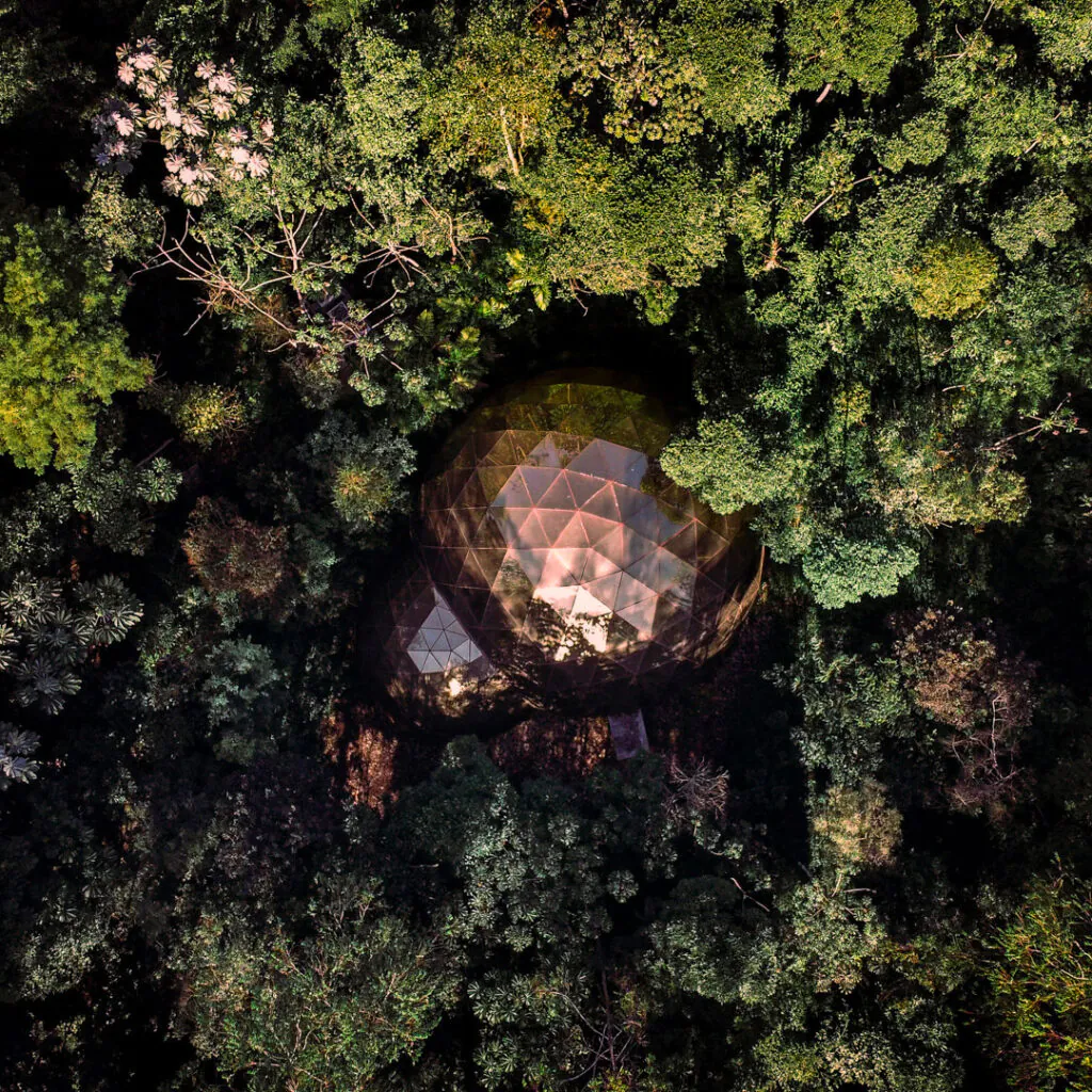 ​Matthew Barney, De lama lâmina, 2009, [vista aérea] domos geodésicos em aço e vidro, trator florestal, escultura em polietileno, 8x14x55 m. Foto: Brendon Campos