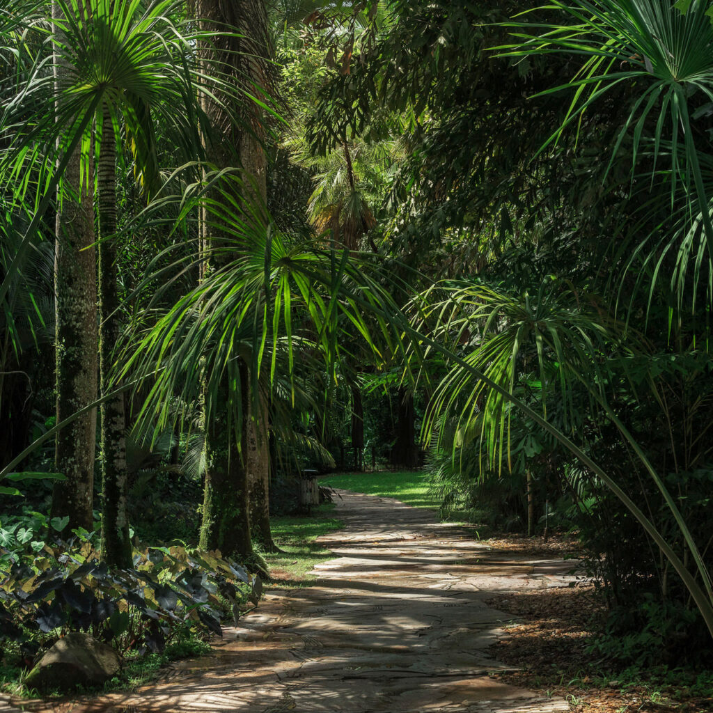 A paisagem criada aqui remete ao próprio nome do jardim: pictórico indica algo semelhante a pintura. Foto: João Marcos Rosa/Nitro.'