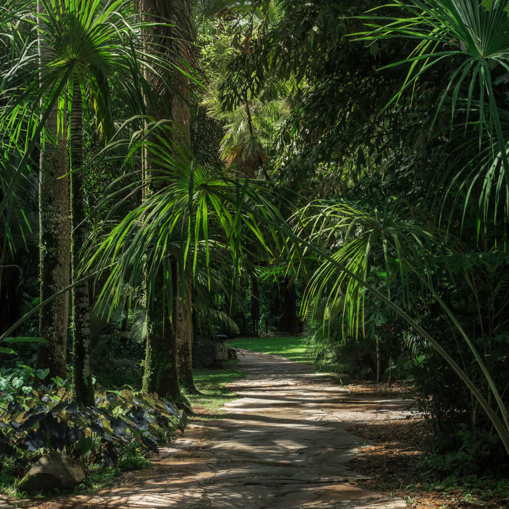 A paisagem criada aqui remete ao próprio nome do jardim: pictórico indica algo semelhante a pintura. Foto: João Marcos Rosa/Nitro.'