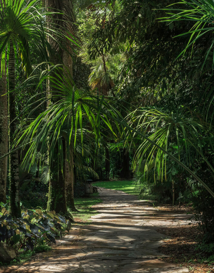 A paisagem criada aqui remete ao próprio nome do jardim: pictórico indica algo semelhante a pintura. Foto: João Marcos Rosa/Nitro.'