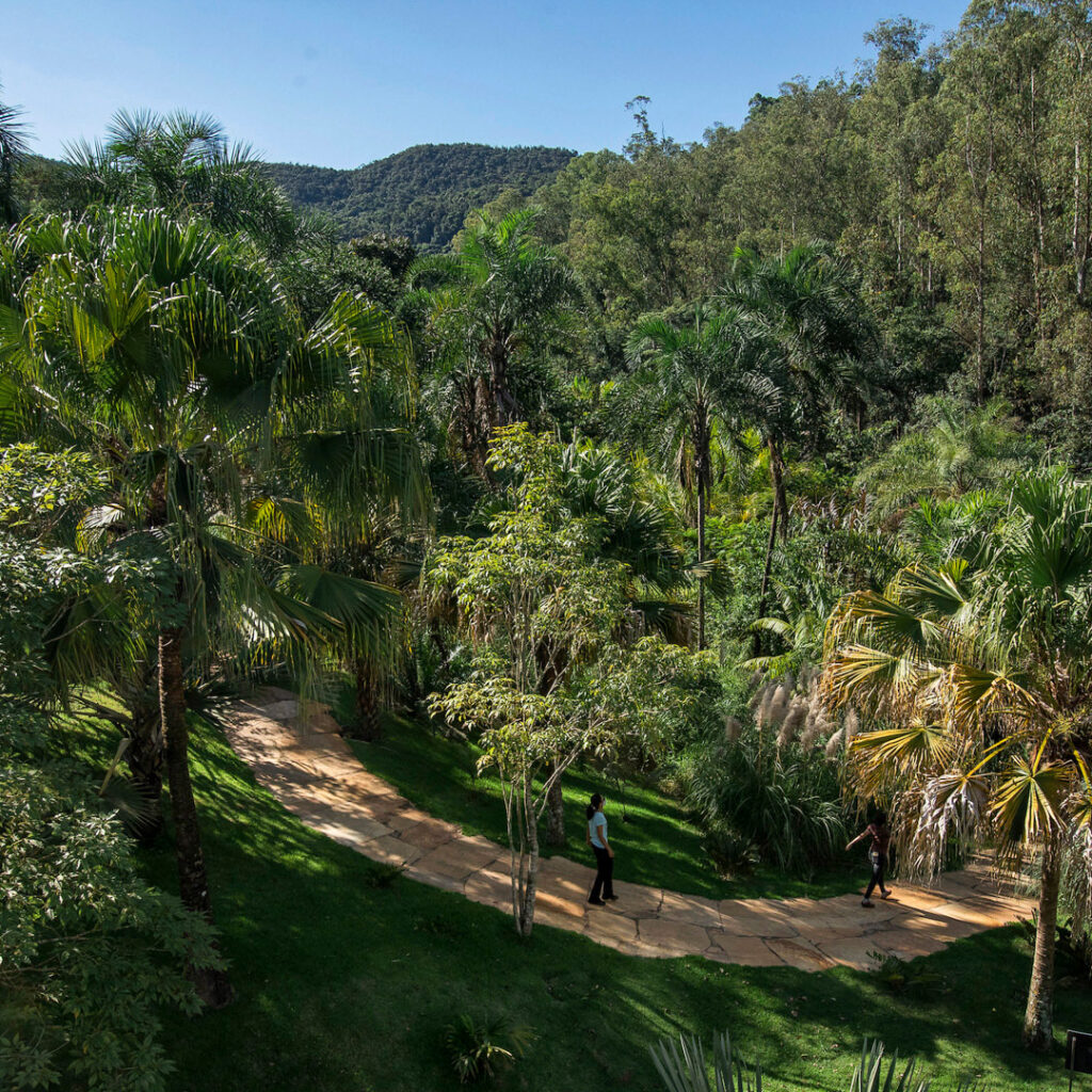O maior jardim do Inhotim é um convite à uma imersão no universo botânico. Foto: João Marcos Rosa/Nitro.