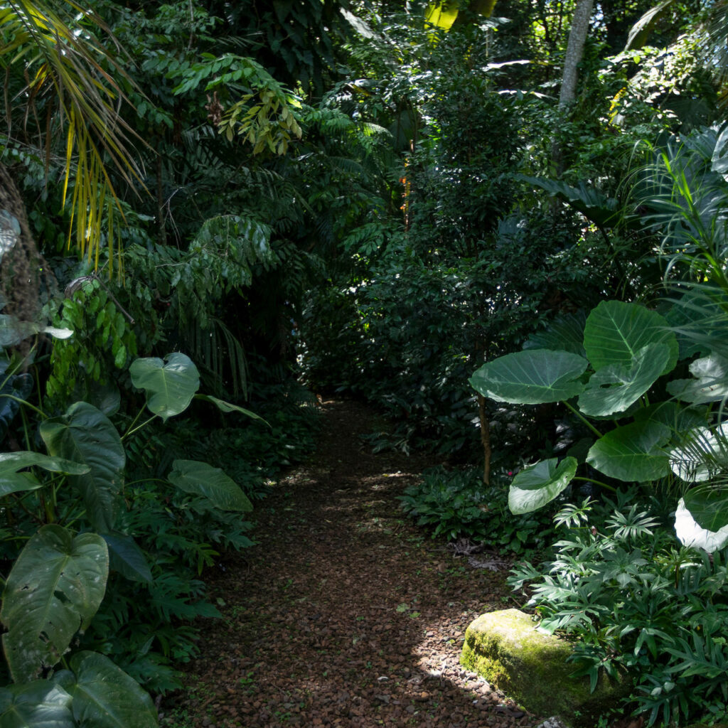 Os caminhos nos levam a conhecer a diversidade dos dois biomas. Foto:João Marcos Rosa/Nitro