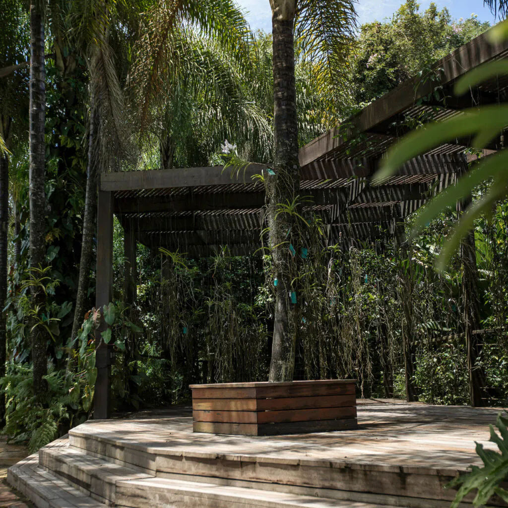 inhotim acervos jardim vandario 1