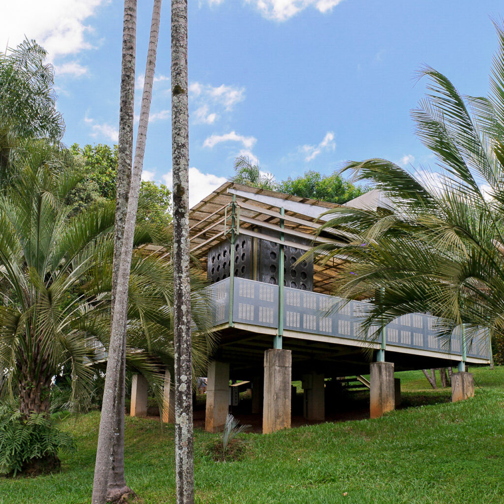 Rirkrit Tiravanija, Palm Pavilion, 2006-08, [vista externa], metal, madeira, palmeiras, materiais diversos, dimensões variáveis.  Foto: William Gomes