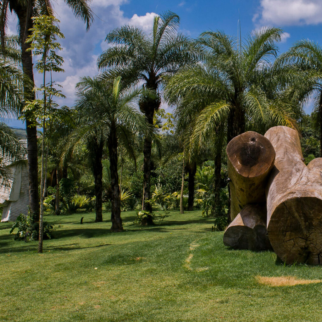 Elisa Bracher, Embrionário, 2003, Madeira de eucalipto, cedro e pinos de ferro, dimensões variáveis. Foto: William Gomes