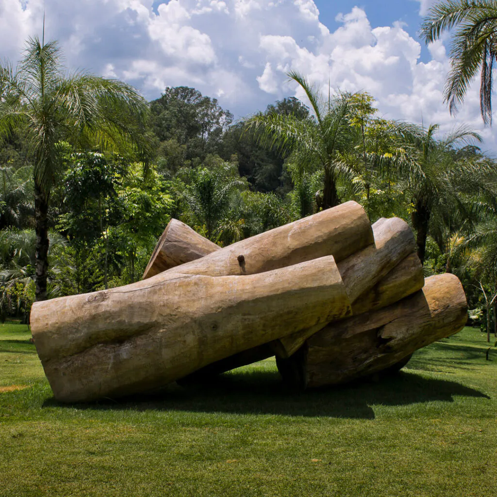 Elisa Bracher, Embrionário, 2003, Madeira de eucalipto, cedro e pinos de ferro, dimensões variáveis. Foto: William Gomes