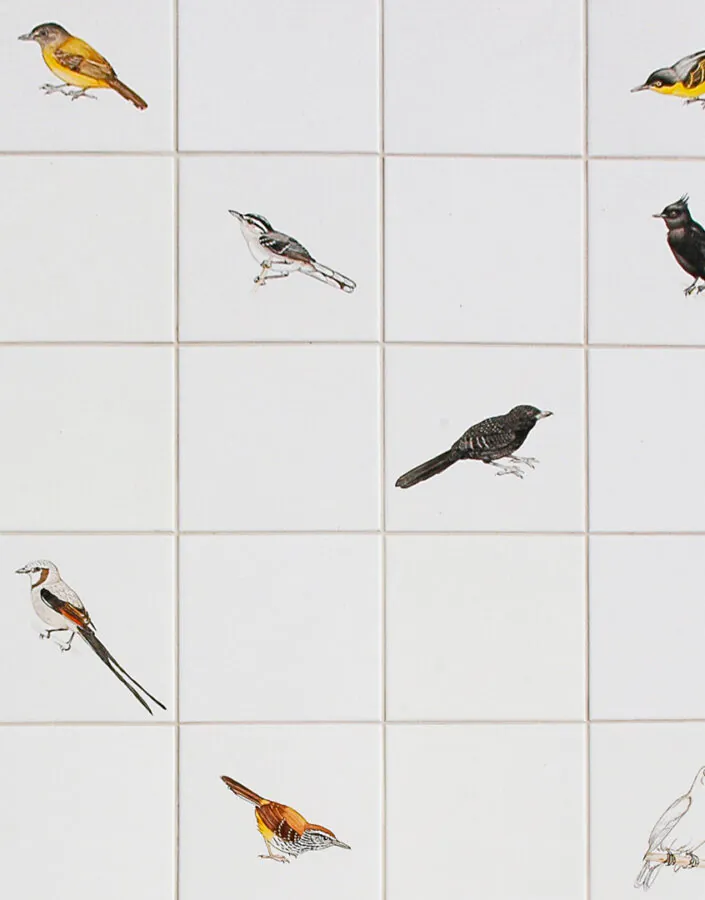 Adriana Varejão, Passarinhos – de Inhotim a Demini, 2004-08, [detalhe],  pintura sobre azulejo, 100 x 382 cm. Foto: Vicente de Mello