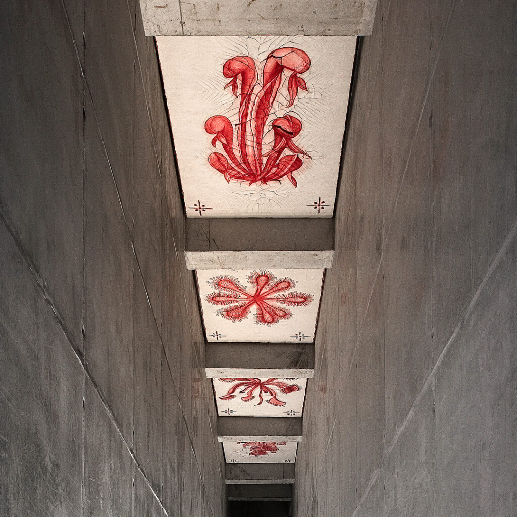 Adriana Varejão, Carnívoras, 2008, óleo e gesso sobre tela, dimensões variáveis. Foto: Eduardo Eckenfels