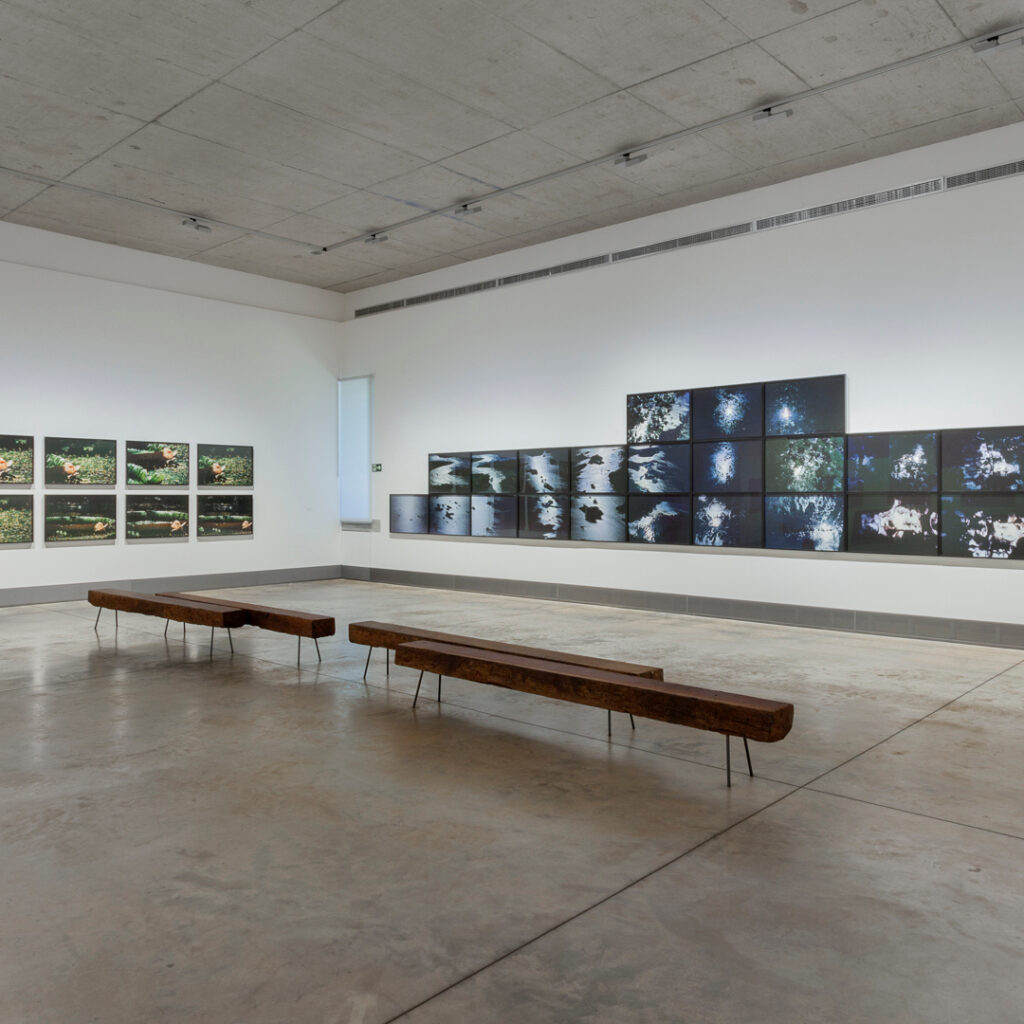 Vista de exposição do eixo "A terra", Galeria Claudia Andujar. Foto: Eduardo Eckenfels