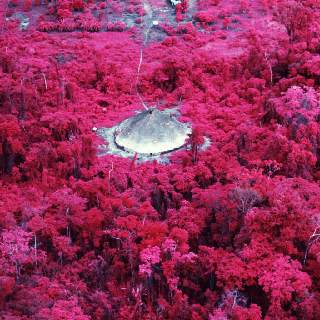 Claudia Andujar, Urihi-a (da série Catrimani), 1976, impressão colorida sobre papel de algodão baritado, 100x150 cm.