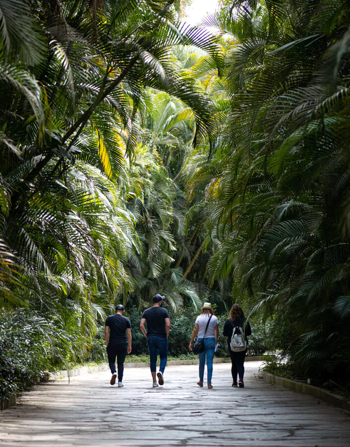 Visita mediada com o curador integra a programação da Semana do Meio Ambiente do Inhotim. Foto: Brendon Campos