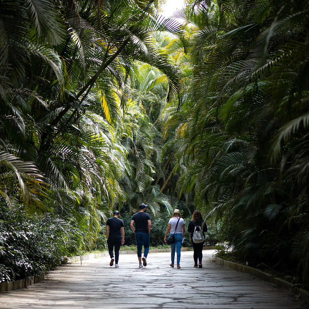 Visita mediada com o curador integra a programação da Semana do Meio Ambiente do Inhotim. Foto: Brendon Campos