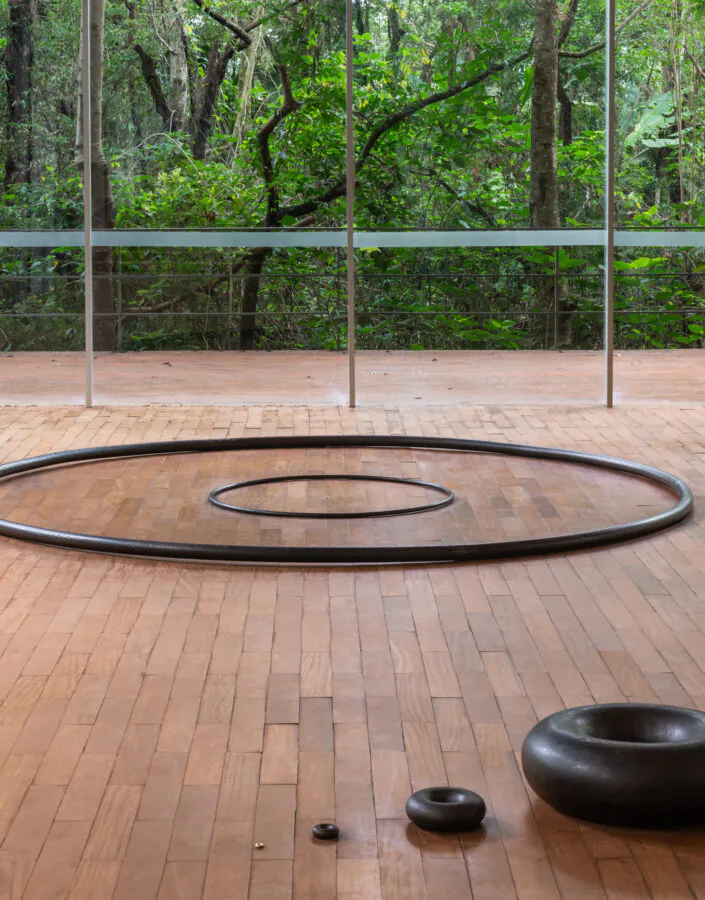 Obra Tunga, Toro Condensed,1983, de Tunga. Acervo de arte contemporânea Inhotim