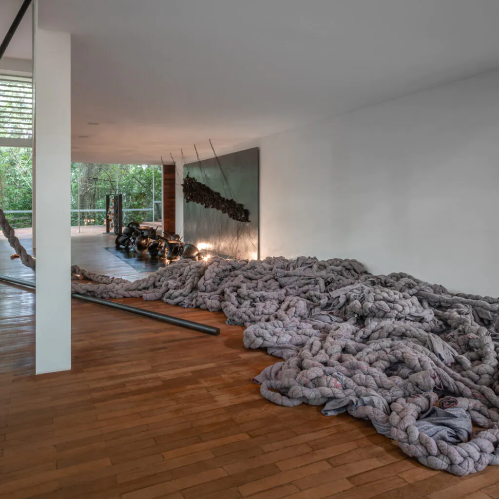 Obra Tereza, 1998, de Tunga. Acervo de arte contemporânea Inhotim