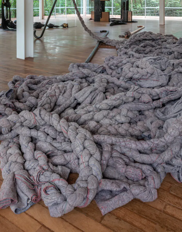 Obra Tereza, 1998, de Tunga. Acervo de arte contemporânea Inhotim