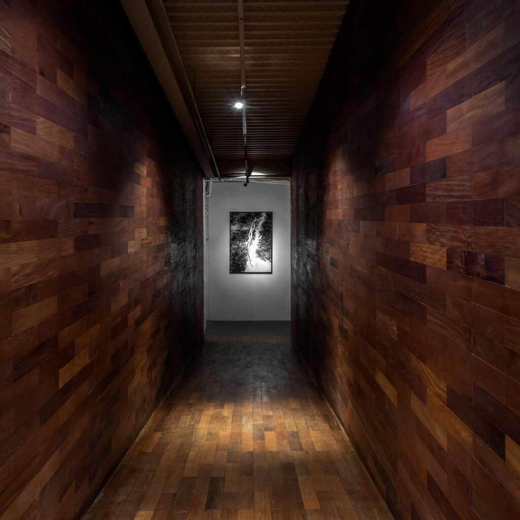 Obra Vanguarda Viperina, 1985, Tunga. Acervo de arte contemporânea Inhotim