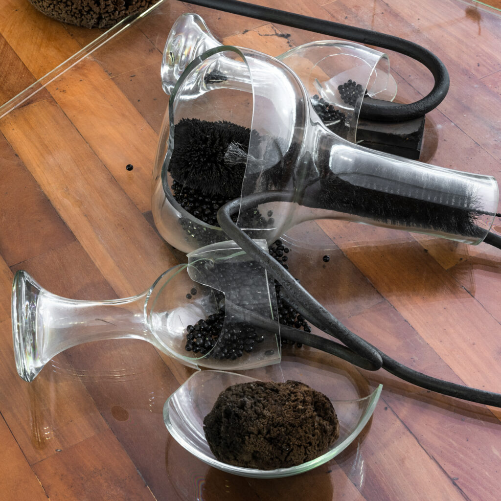 Obra sem título, 1999, de Tunga. Acervo de arte contemporânea Inhotim