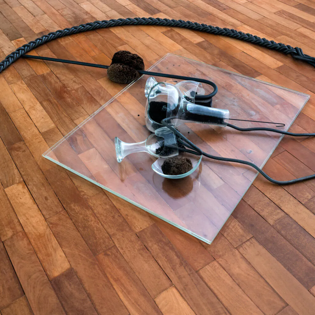 Obra sem título, 1999, de Tunga. Acervo de arte contemporânea Inhotim