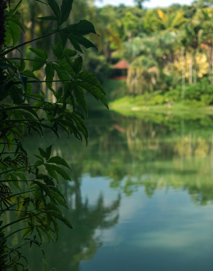 inhotim acervo jardim btoanico semana meio ambiente paisagem