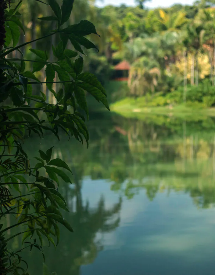 inhotim acervo jardim btoanico semana meio ambiente paisagem