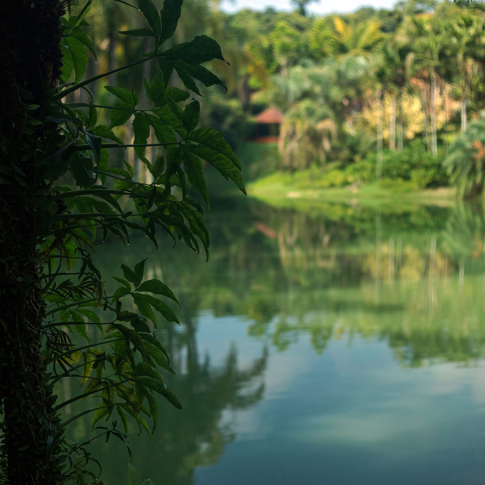 inhotim acervo jardim btoanico semana meio ambiente paisagem