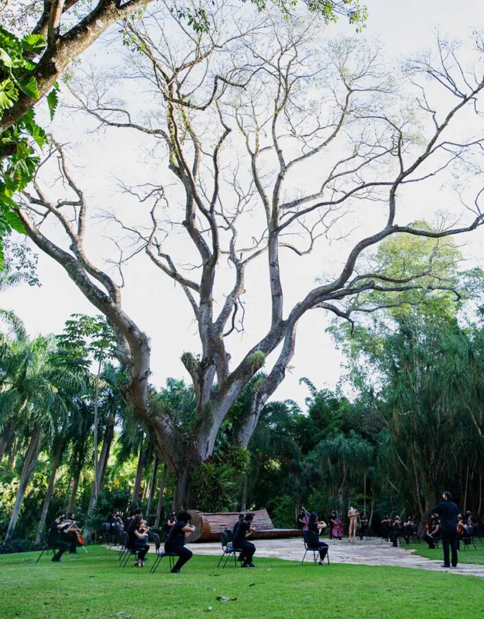 Orquestra de Câmara Inhotim é uma das atrações da programação da Semana do Meio Ambiente. Foto: Brendon Campos